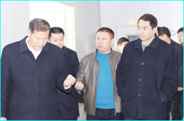 2016年1月嘉祥县委书记、县人大常委会主任柳景武等领导莅临我厂参观指导2.jpg
