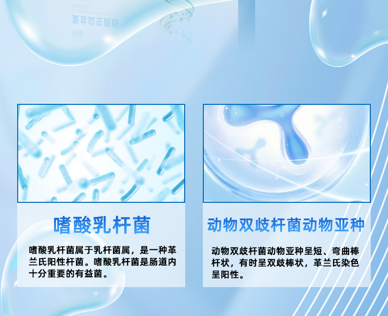 庆葆堂益生菌改_06.jpg